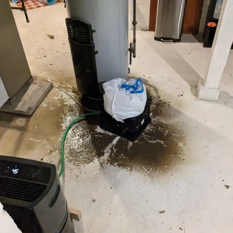 Sewage Backup Cleanup Service in Lutherville-Timonium, MD